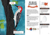 Kid’s Guide to Backyard Birds - DIGS