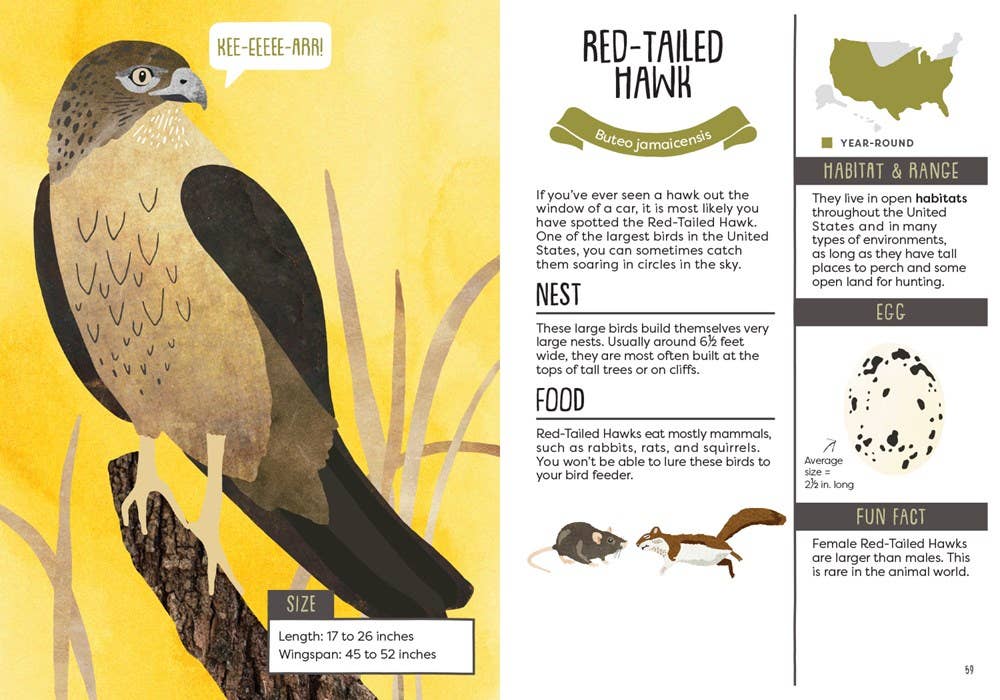 Kid’s Guide to Backyard Birds - DIGS