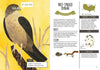 Kid’s Guide to Backyard Birds - DIGS