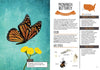 Kid’s Guide to Backyard Bugs - DIGS