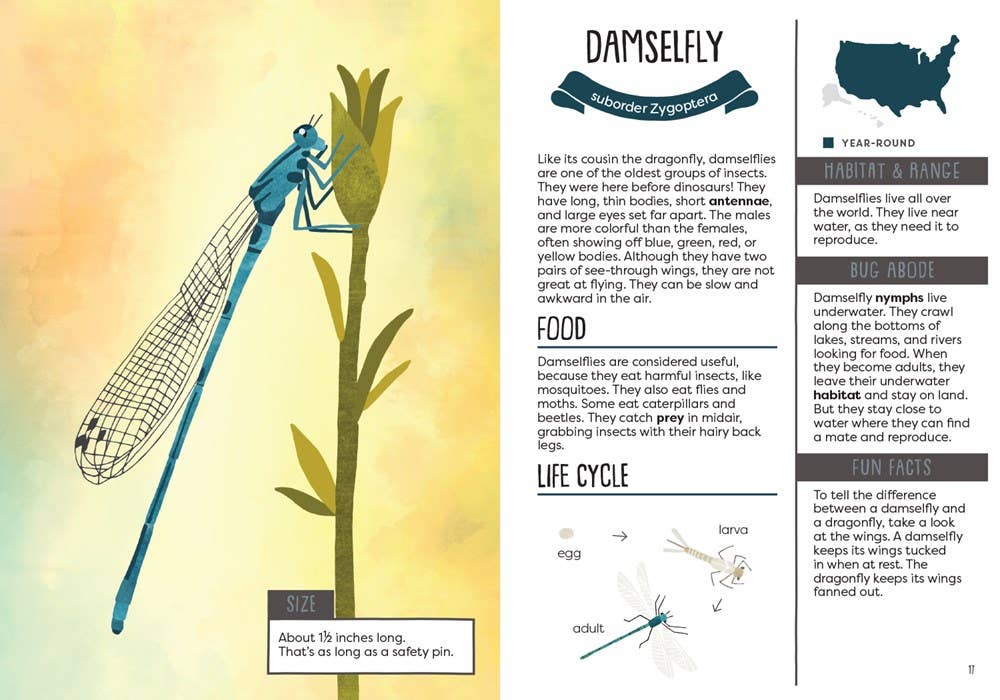 Kid’s Guide to Backyard Bugs - DIGS