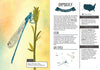 Kid’s Guide to Backyard Bugs - DIGS