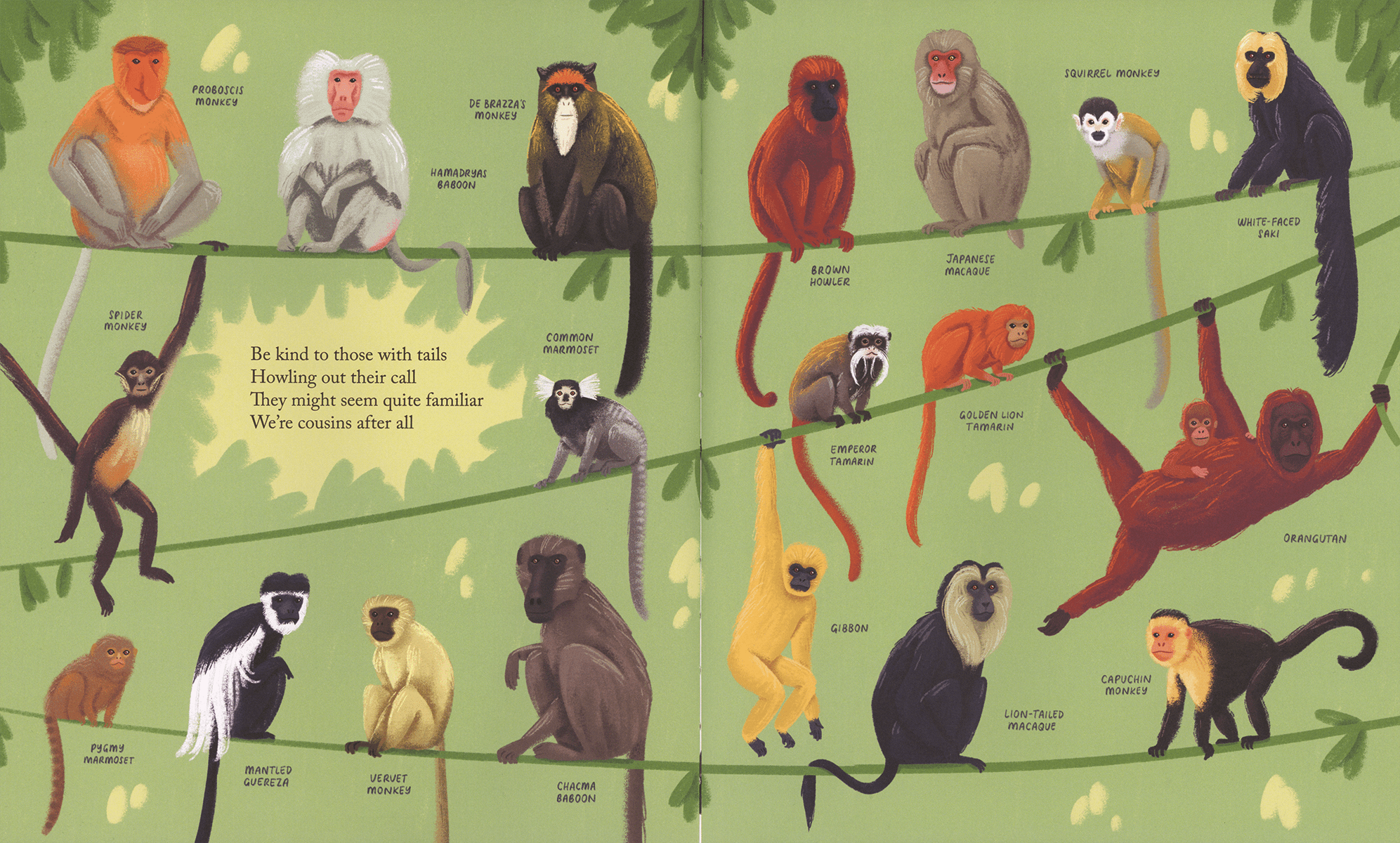 Kind: A Call to Care for Every Creature - DIGS