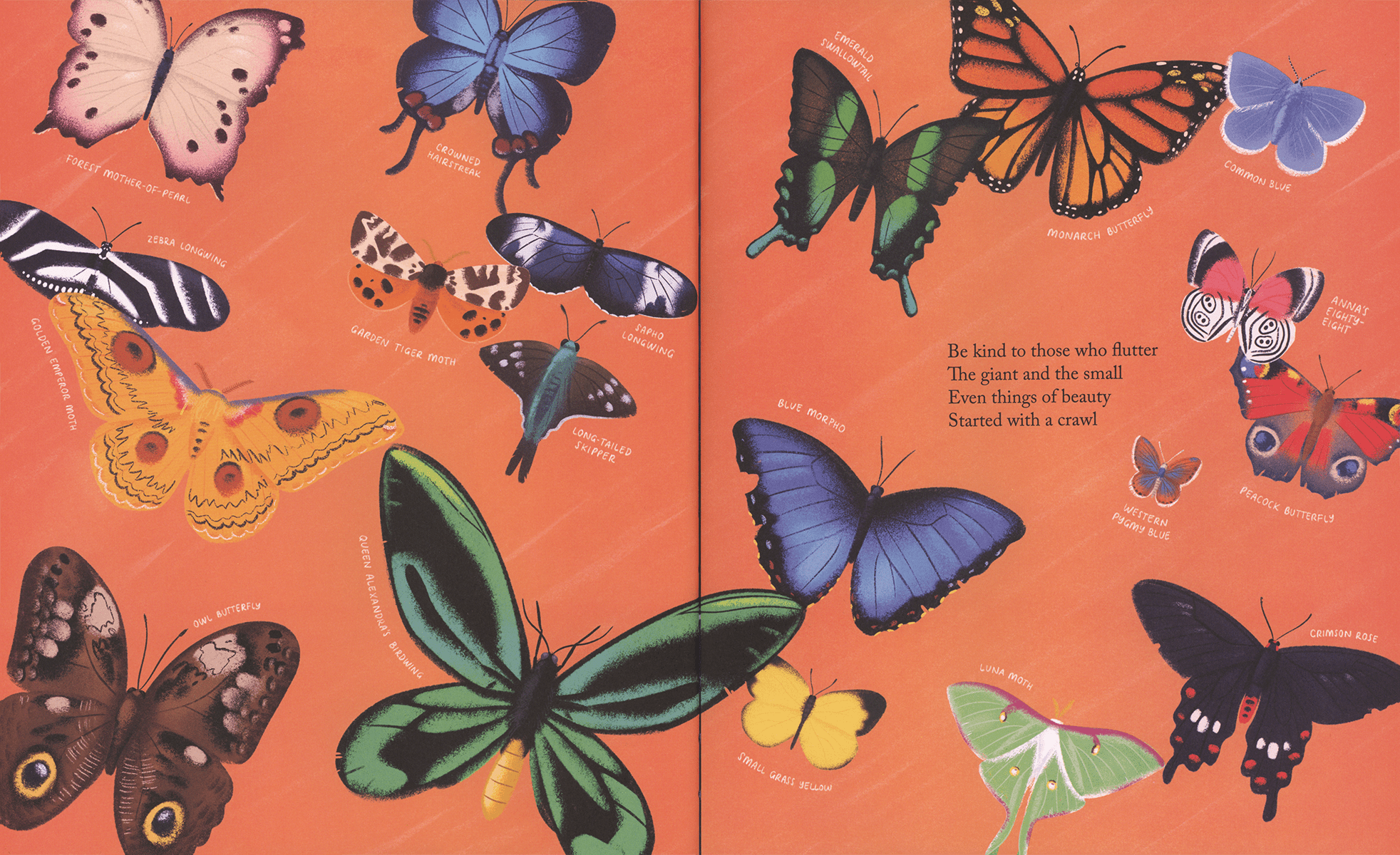 Kind: A Call to Care for Every Creature - DIGS
