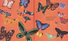 Kind: A Call to Care for Every Creature - DIGS
