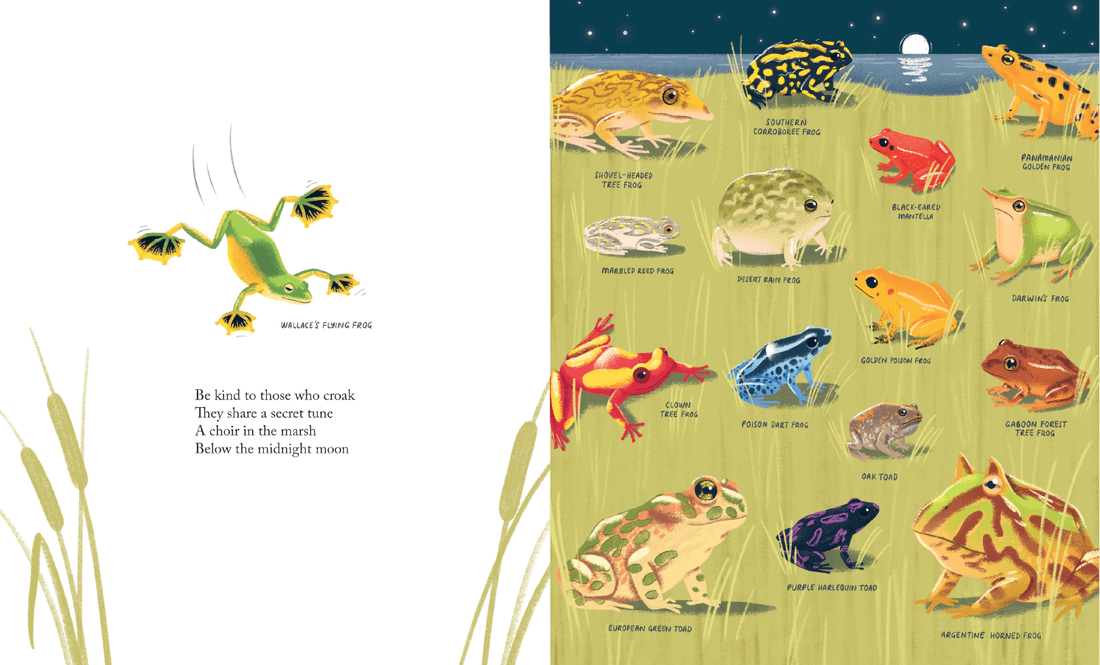 Kind: A Call to Care for Every Creature - DIGS