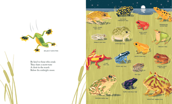 Kind: A Call to Care for Every Creature - DIGS
