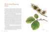 Knowing the Trees: Discover the Forest from Seed to Snag - DIGS