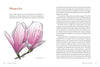 Knowing the Trees: Discover the Forest from Seed to Snag - DIGS