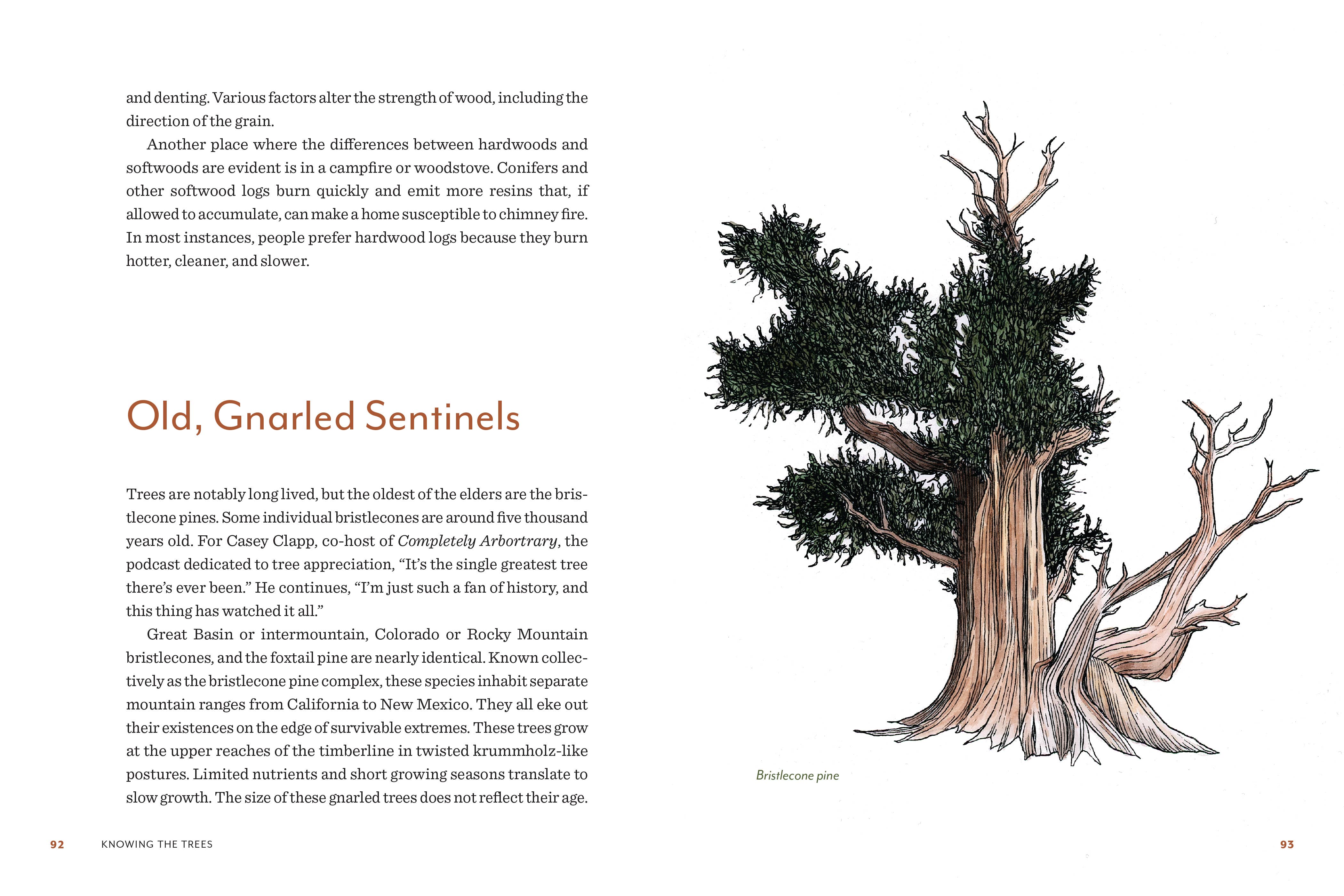 Knowing the Trees: Discover the Forest from Seed to Snag - DIGS