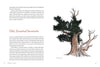Knowing the Trees: Discover the Forest from Seed to Snag - DIGS