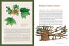 Knowing the Trees: Discover the Forest from Seed to Snag - DIGS