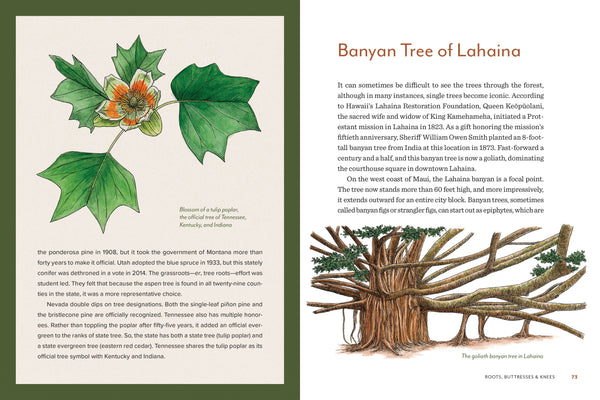 Knowing the Trees: Discover the Forest from Seed to Snag - DIGS