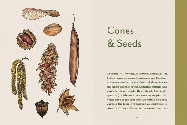 Knowing the Trees: Discover the Forest from Seed to Snag - DIGS