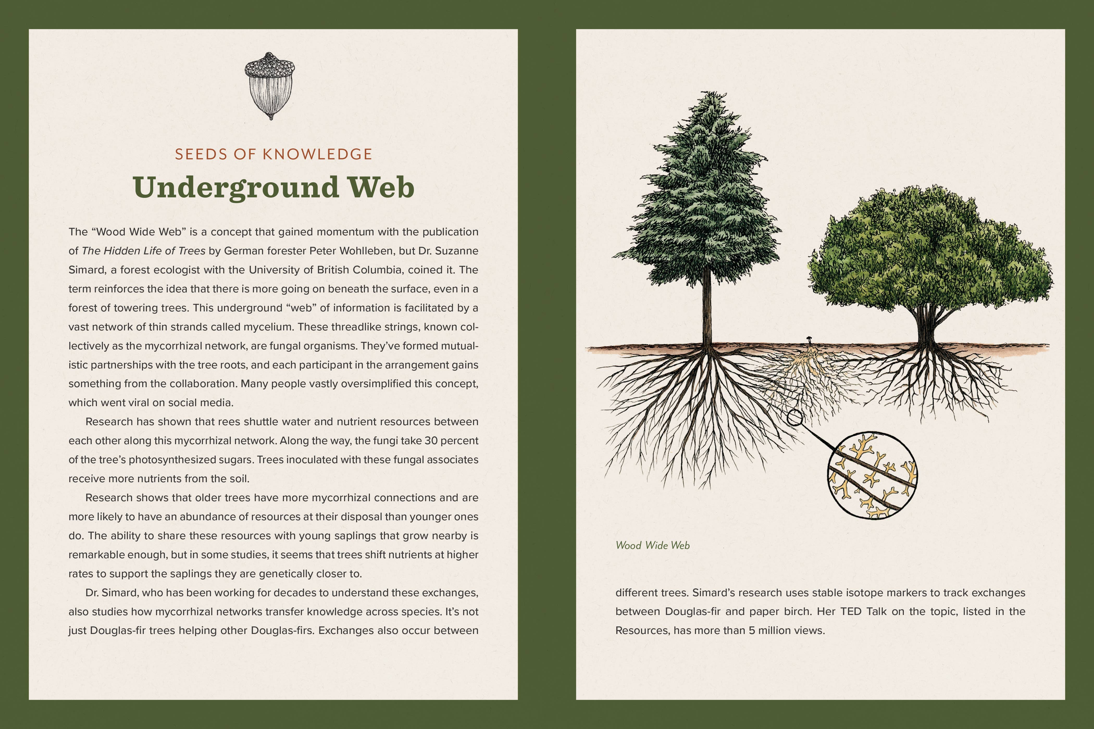 Knowing the Trees: Discover the Forest from Seed to Snag - DIGS