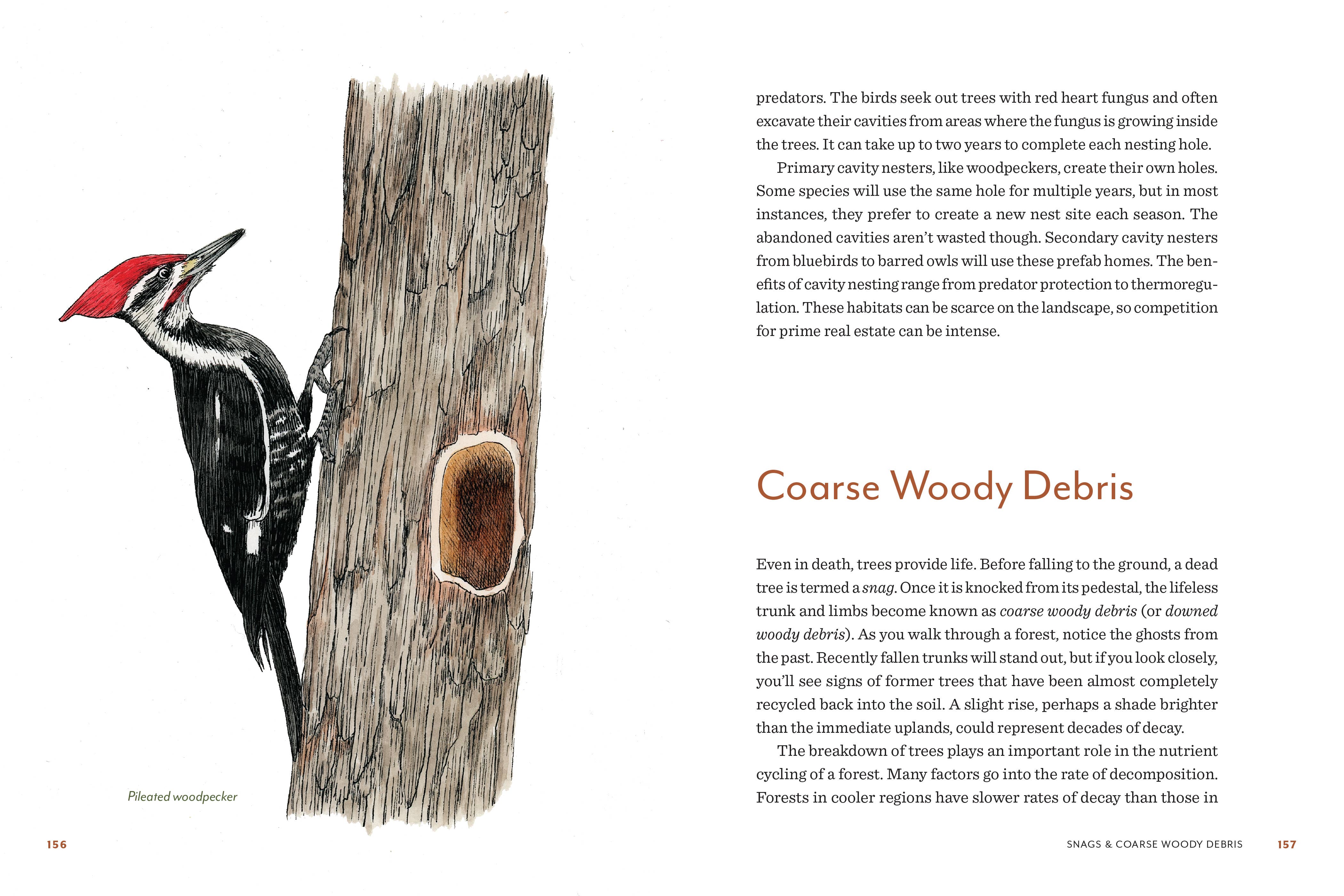 Knowing the Trees: Discover the Forest from Seed to Snag - DIGS