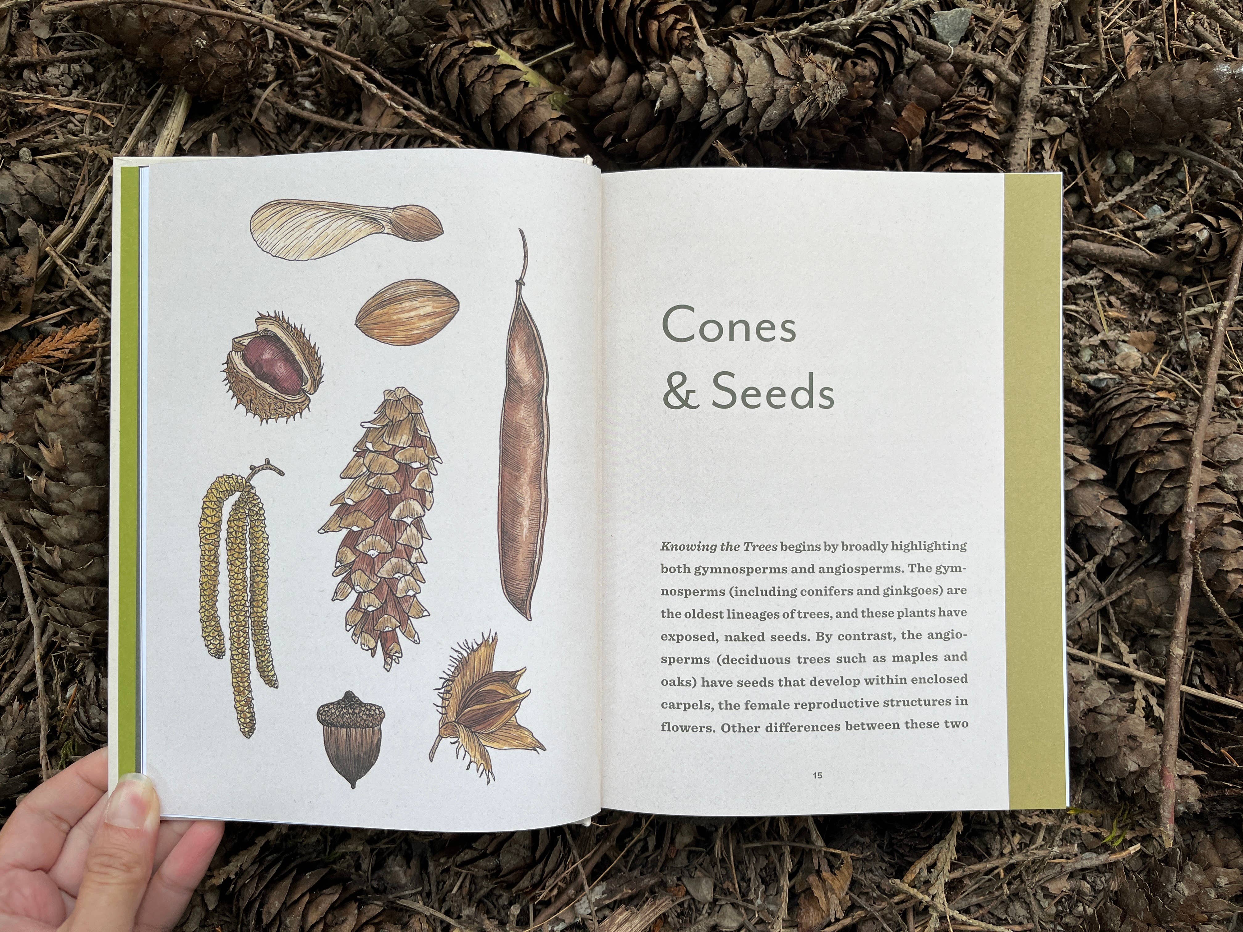 Knowing the Trees: Discover the Forest from Seed to Snag - DIGS