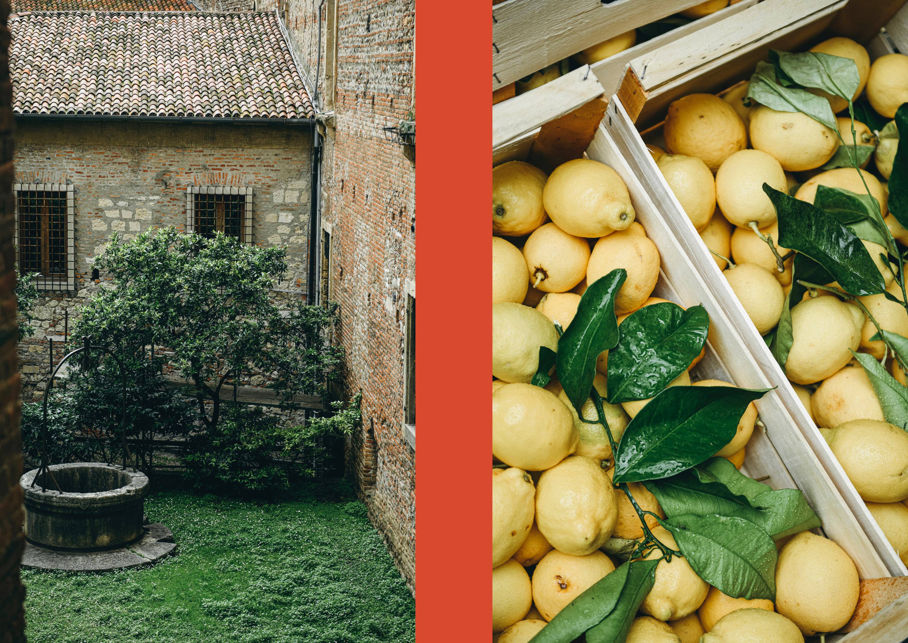 La Nostra Cucina Povera – Everyday Italian Eats - DIGS