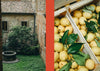 La Nostra Cucina Povera – Everyday Italian Eats - DIGS