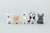 Labrador Retriever Needle-Felting Kit - DIGS