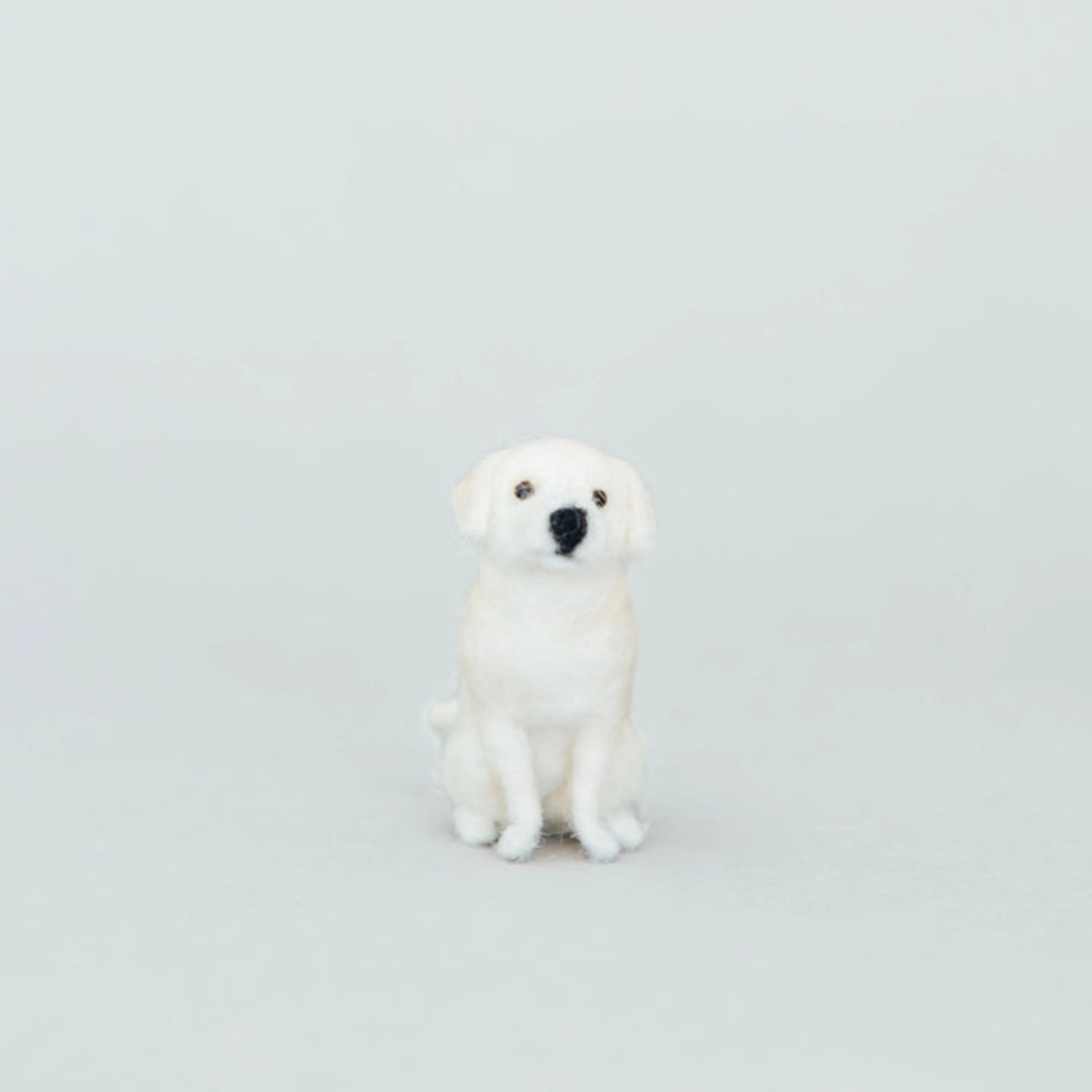 Labrador Retriever Needle-Felting Kit - DIGS