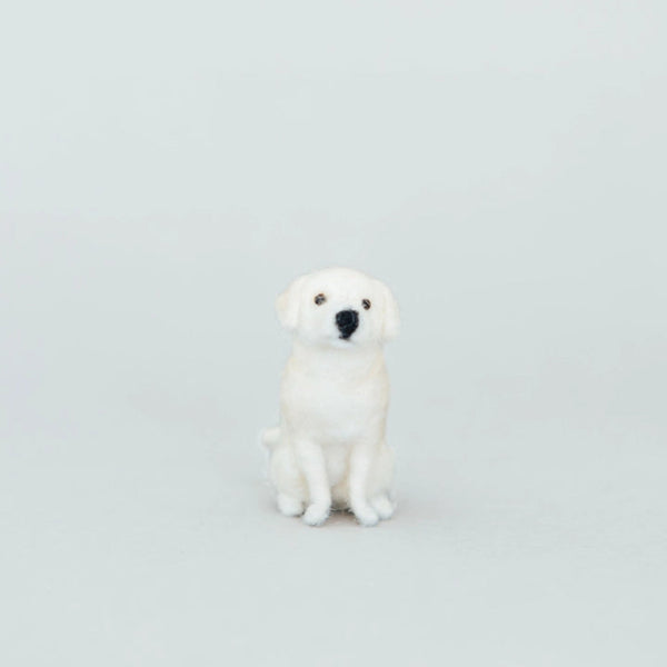 Labrador Retriever Needle-Felting Kit - DIGS