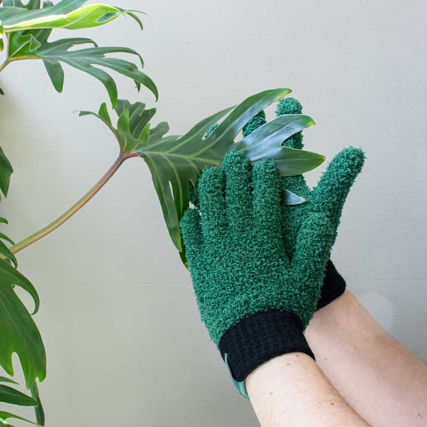 Leaf Love Plant Dusting Gloves - DIGS