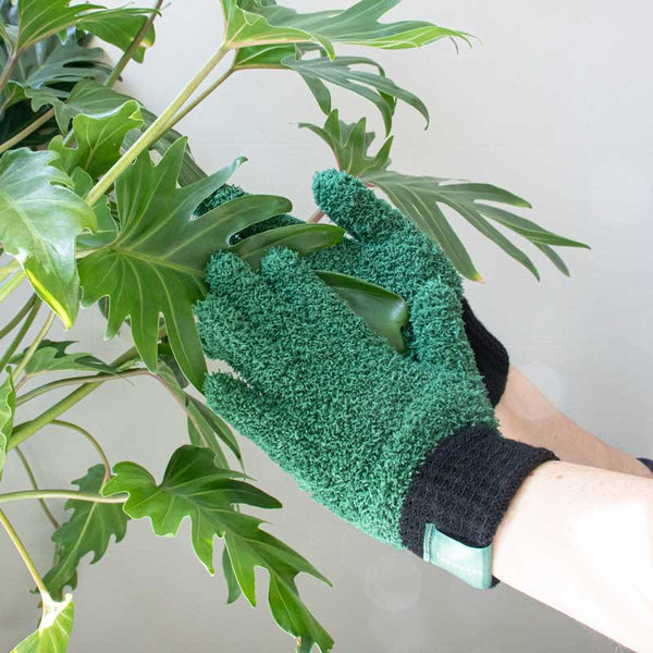 Leaf Love Plant Dusting Gloves - DIGS