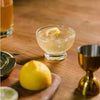 Lemon Drop Infusion Kit - DIGS