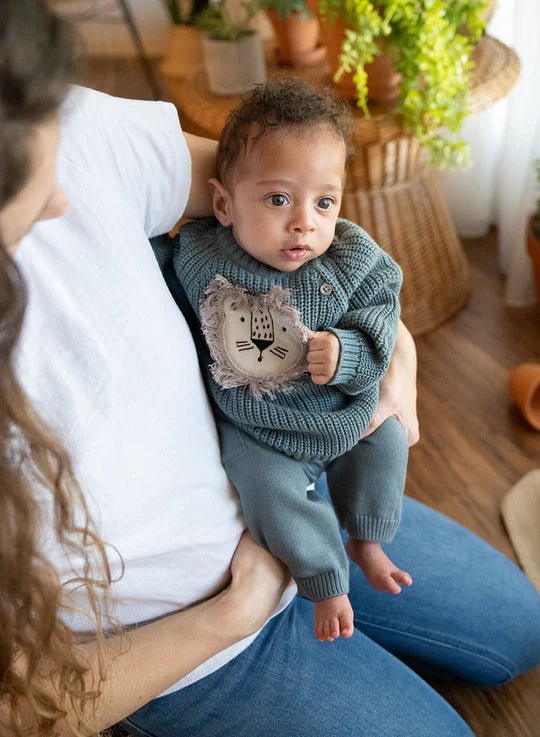 Lion Applique Baby Pullover Sweater - DIGS