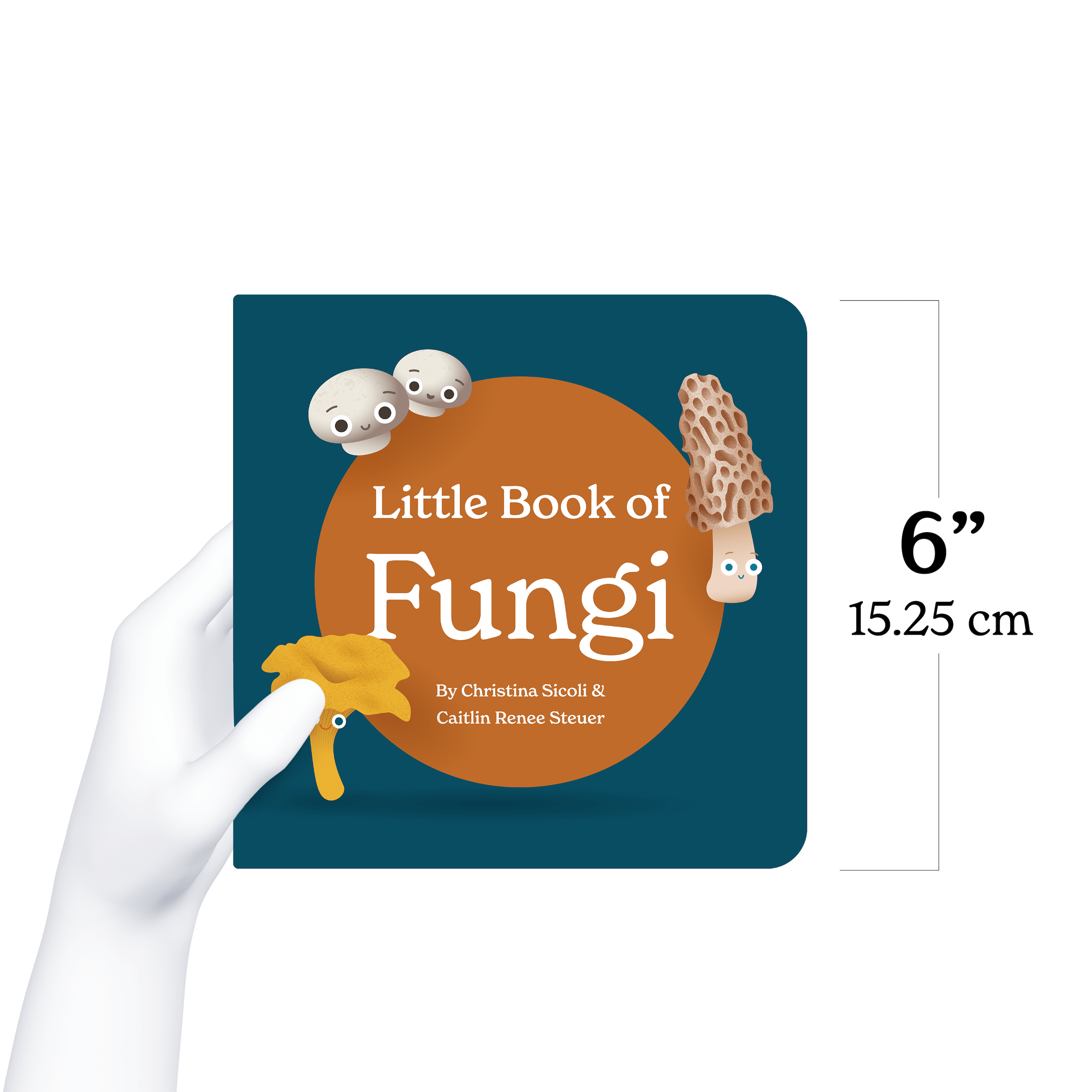 Little Book of Fungi - DIGS