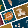 Little Book of Fungi - DIGS