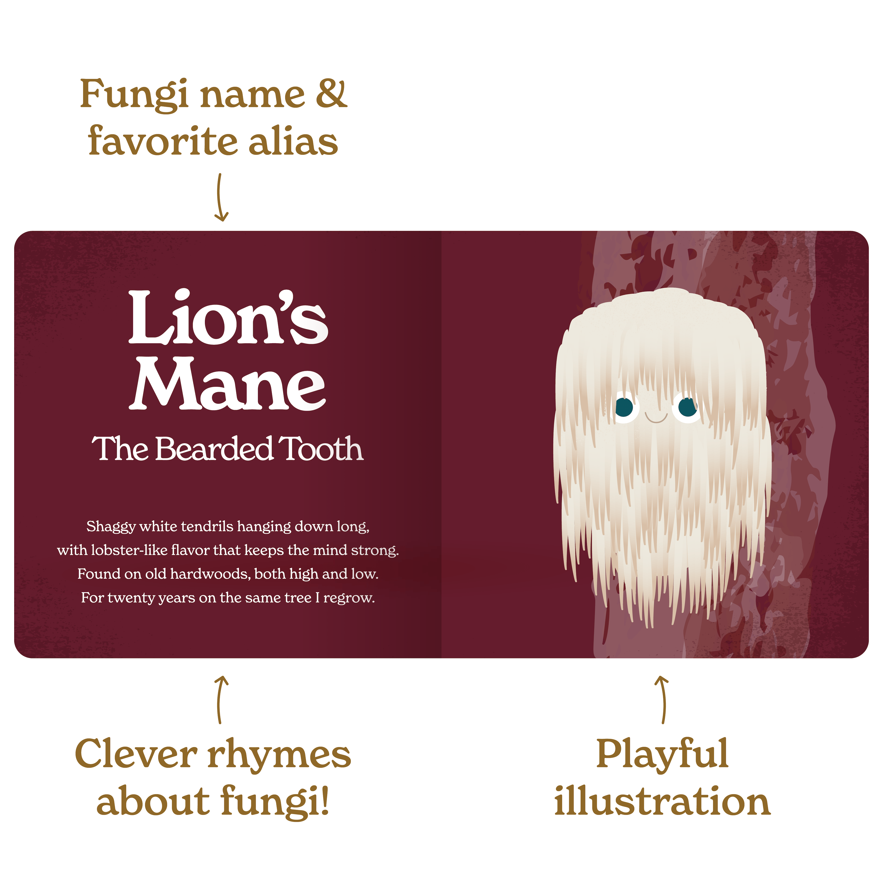 Little Book of Fungi - DIGS