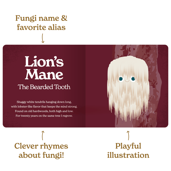 Little Book of Fungi - DIGS