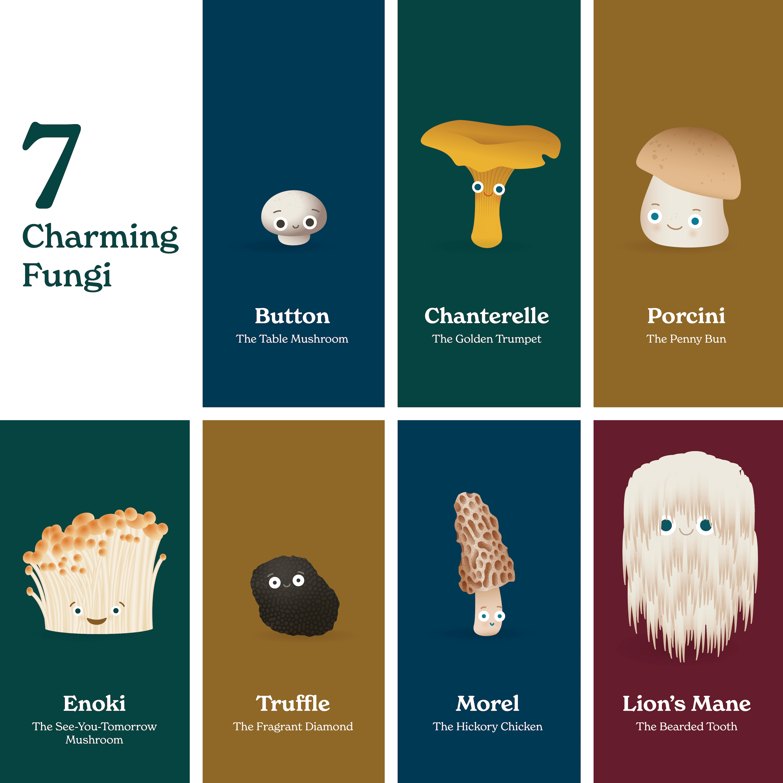 Little Book of Fungi - DIGS
