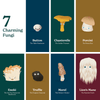 Little Book of Fungi - DIGS