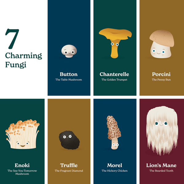 Little Book of Fungi - DIGS