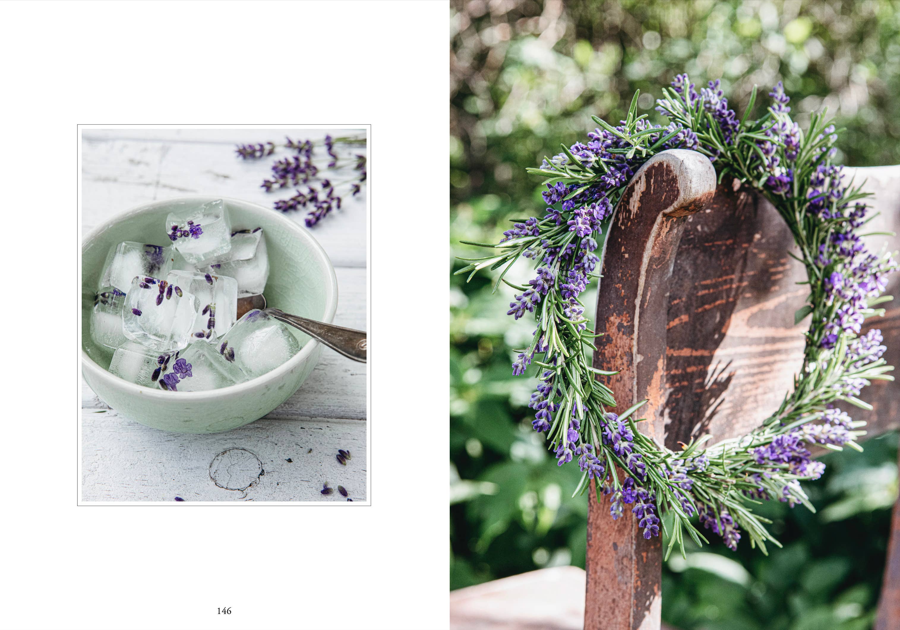 Living with Herbs - DIGS