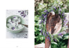 Living with Herbs - DIGS