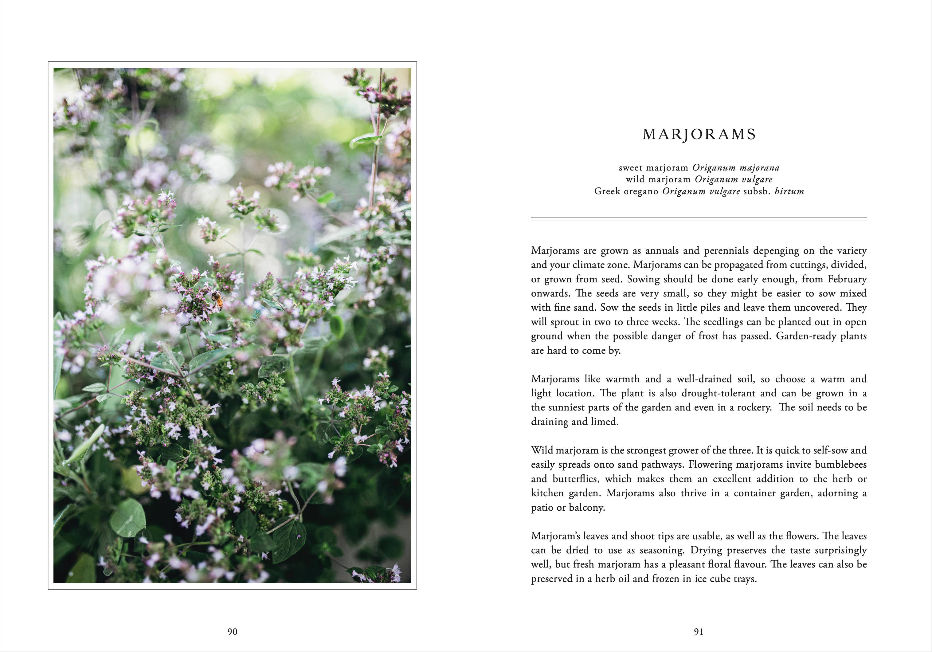 Living with Herbs - DIGS