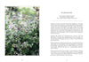 Living with Herbs - DIGS