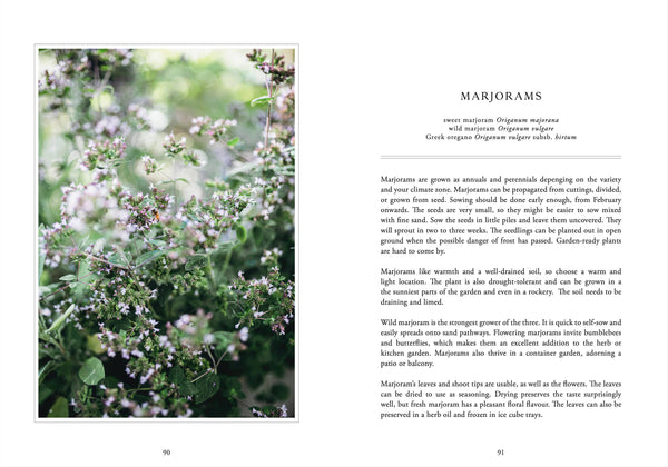 Living with Herbs - DIGS