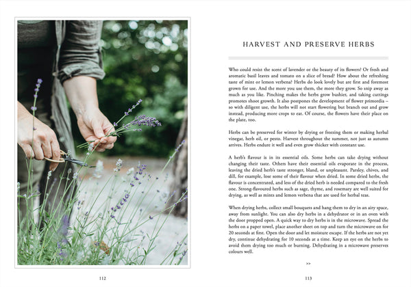 Living with Herbs - DIGS