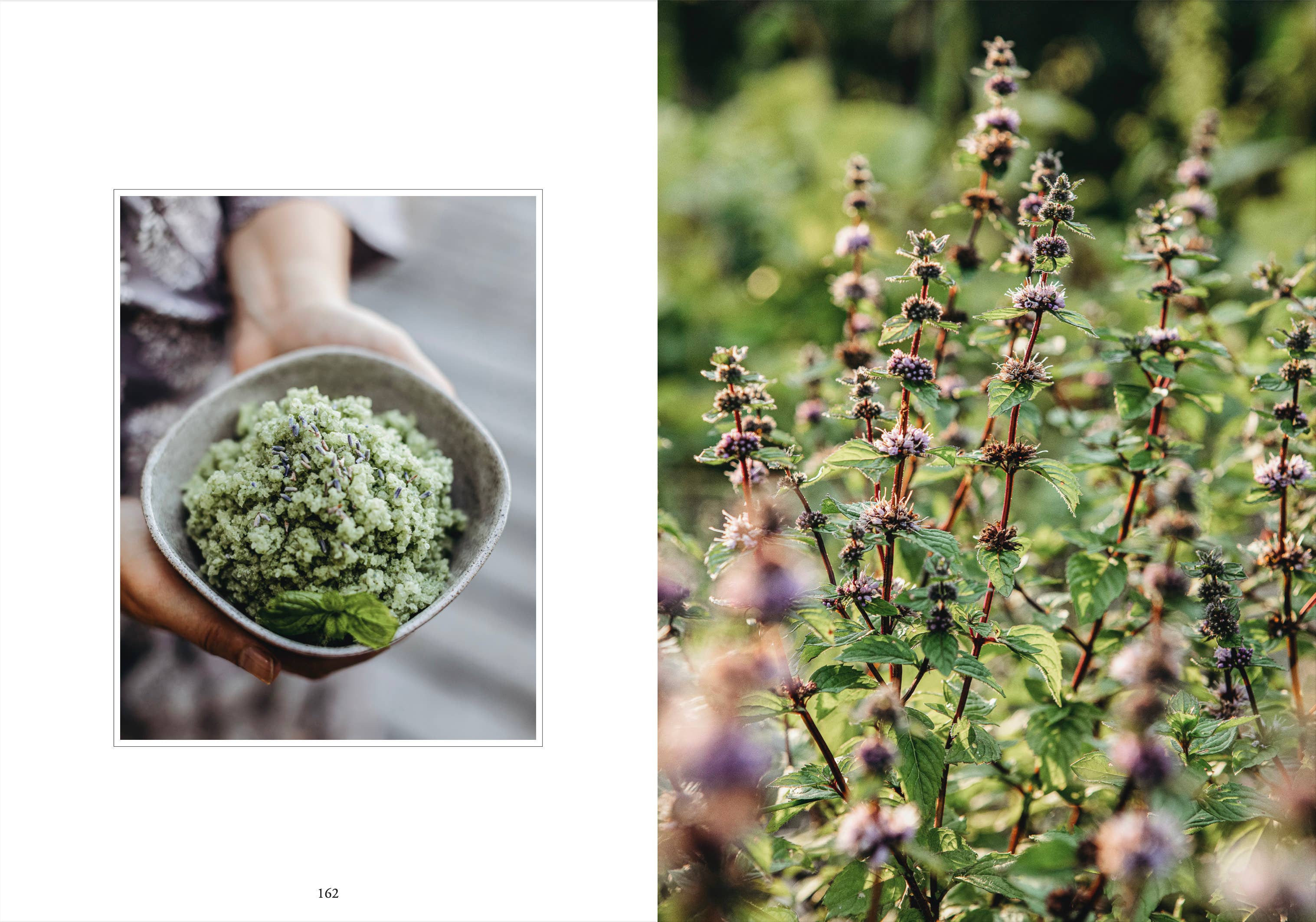 Living with Herbs - DIGS