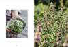 Living with Herbs - DIGS