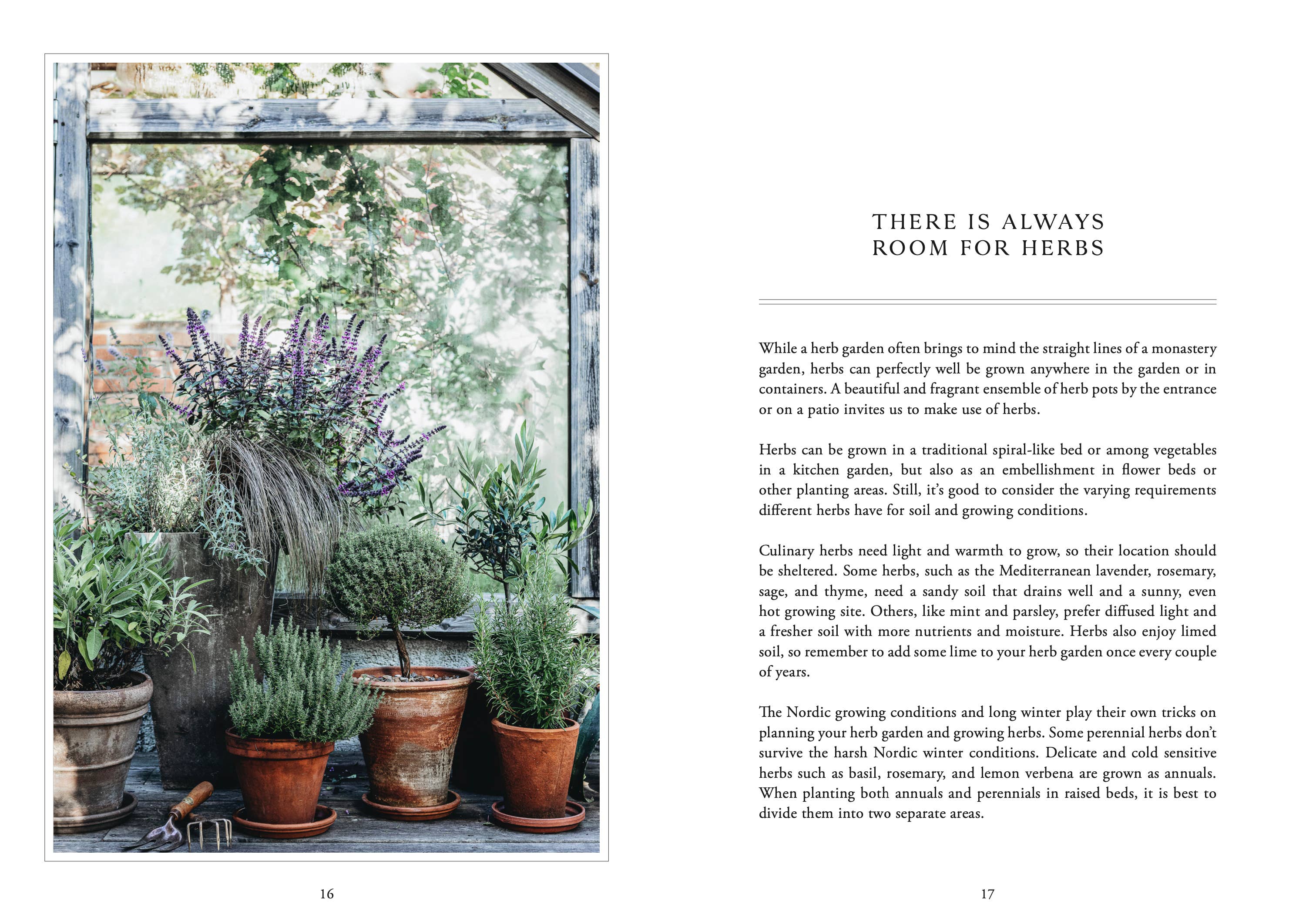 Living with Herbs - DIGS
