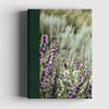 Living with Herbs - DIGS