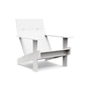 Lollygagger Lounge Chair - DIGS