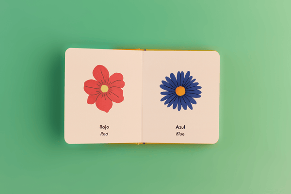 Los Street Vendors Bilingual Book Set - DIGS