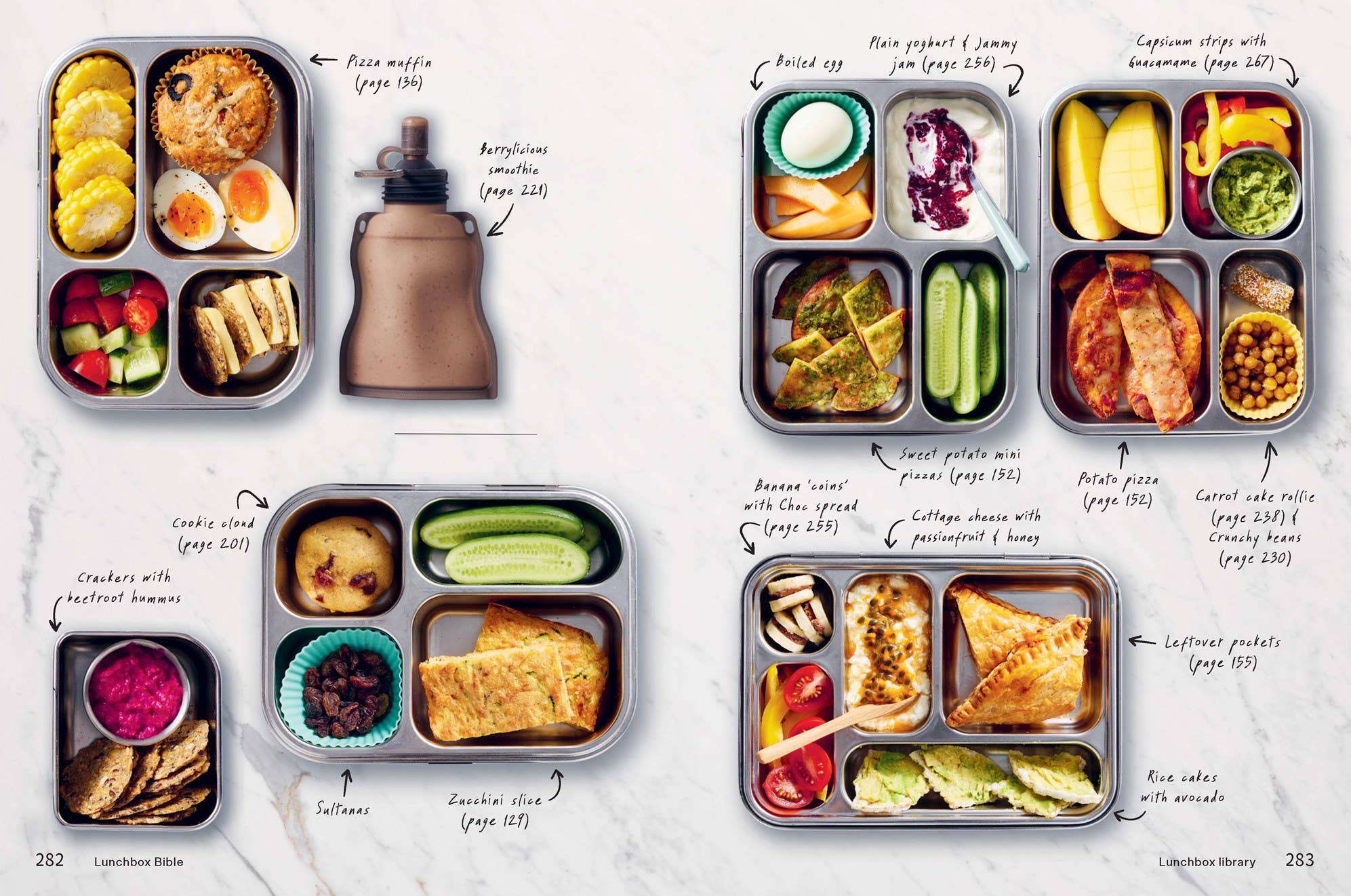 Lunchbox Bible - DIGS